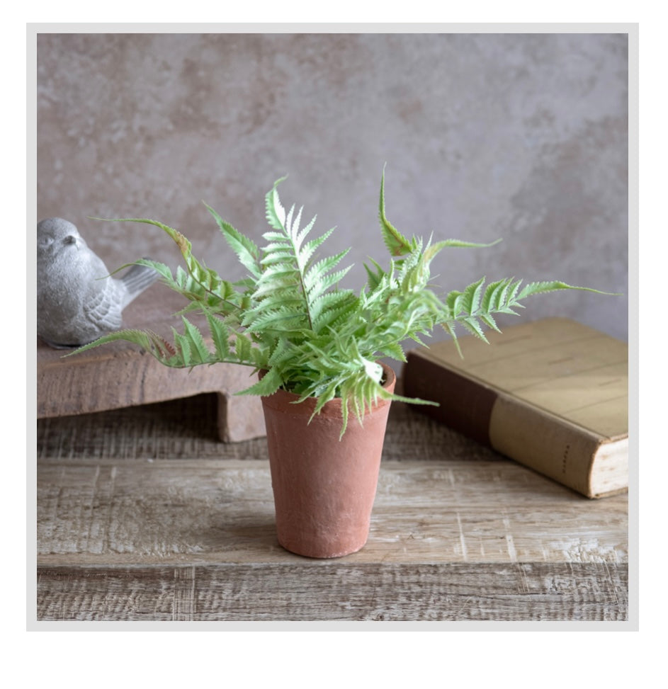 13" FERN IN POT