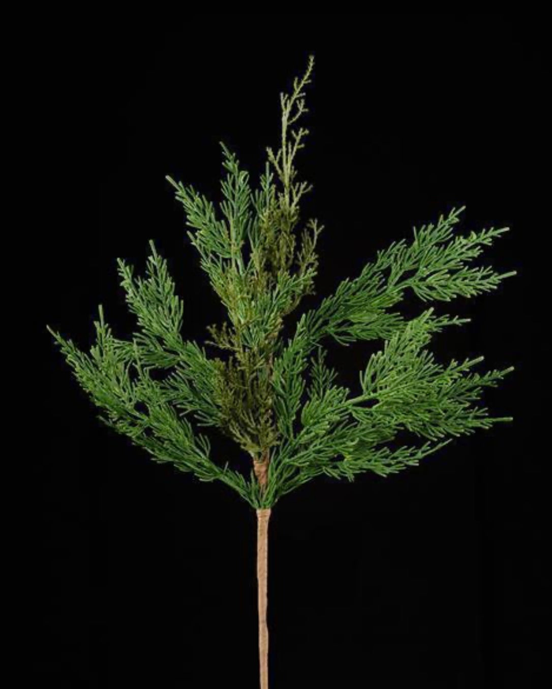 20" Green Cedar Spray