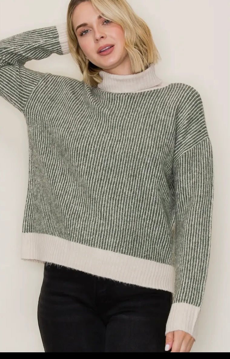 Ribbed Stripe Turtleneck Sweater