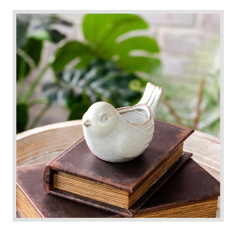 4" White Wash Bird Planter