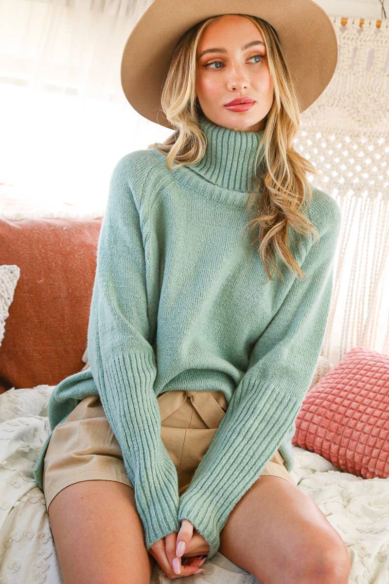 Perfectly Soft Turtle Neck Solid Knitted Sweater