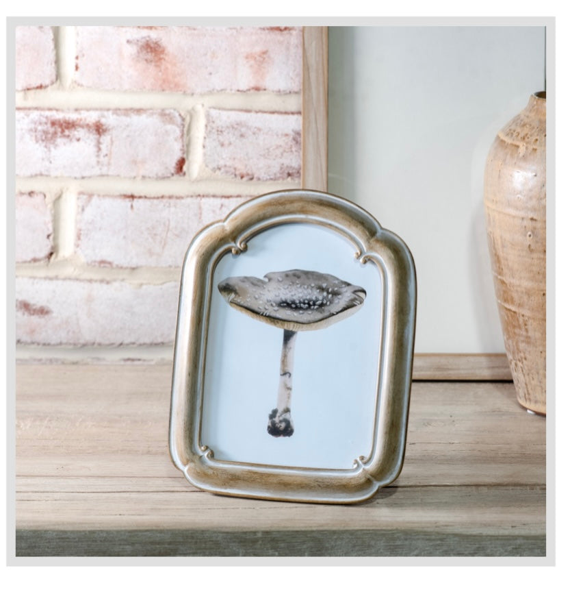 5 X 7 VINTAGE ARCH PHOTO FRAME