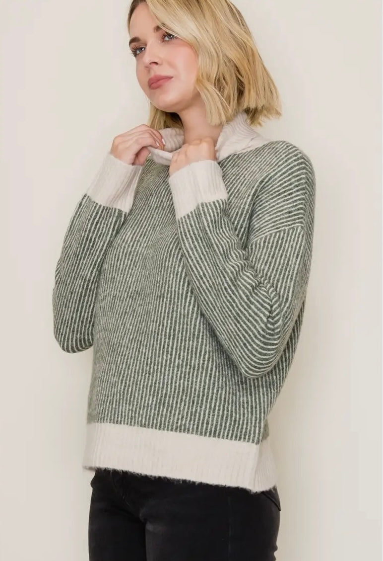 Ribbed Stripe Turtleneck Sweater