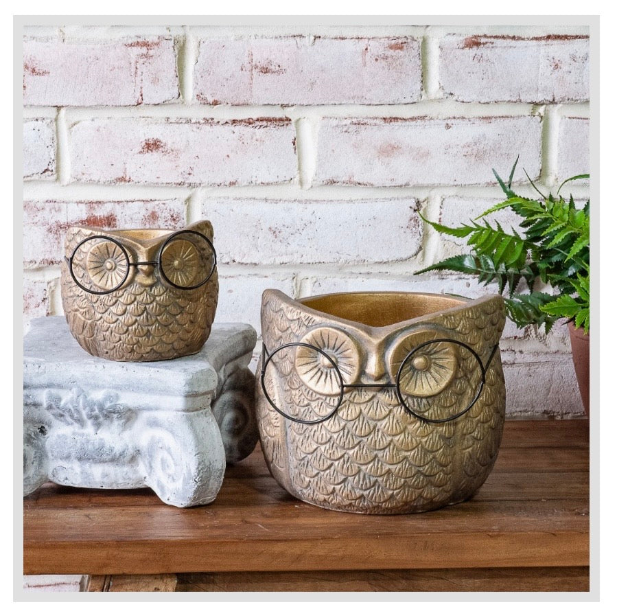 Gold Owl with Glasses Planter