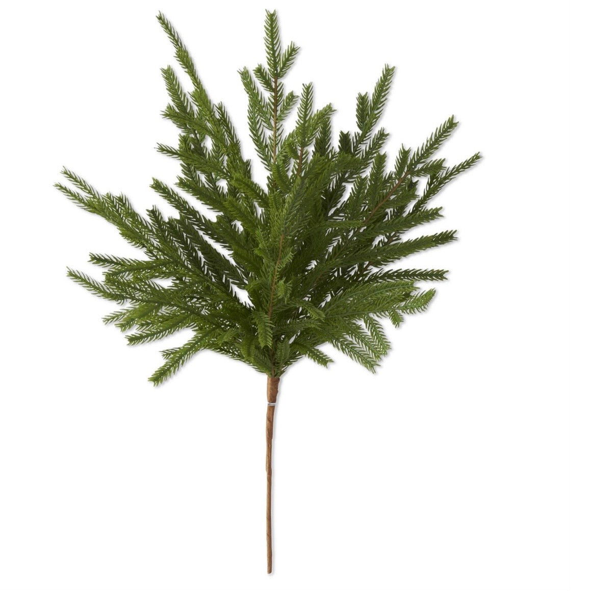 19" Real Touch Norfolk Pine Stem