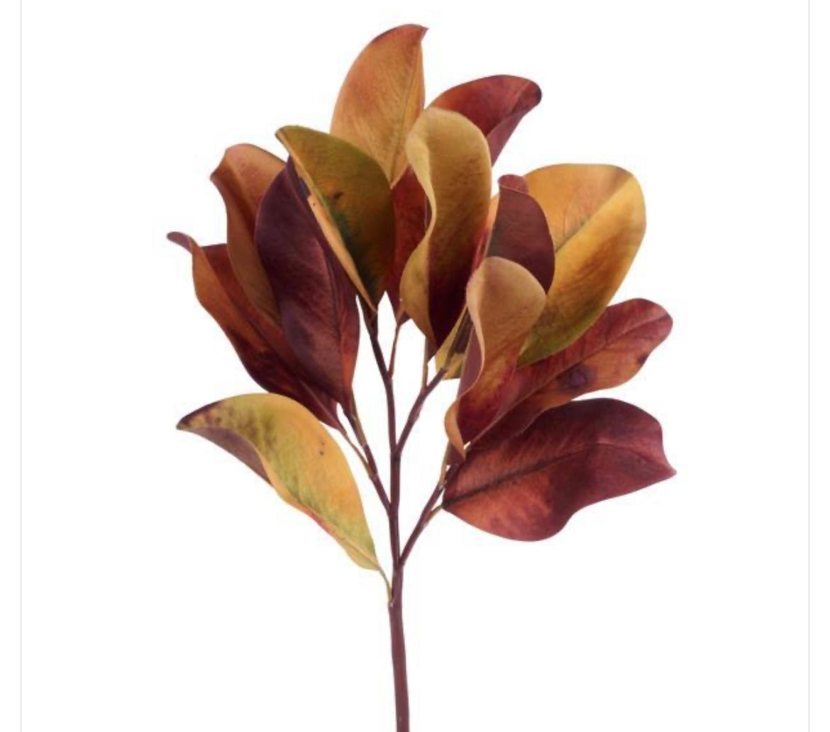 18" L Magnolia Leaf Pick