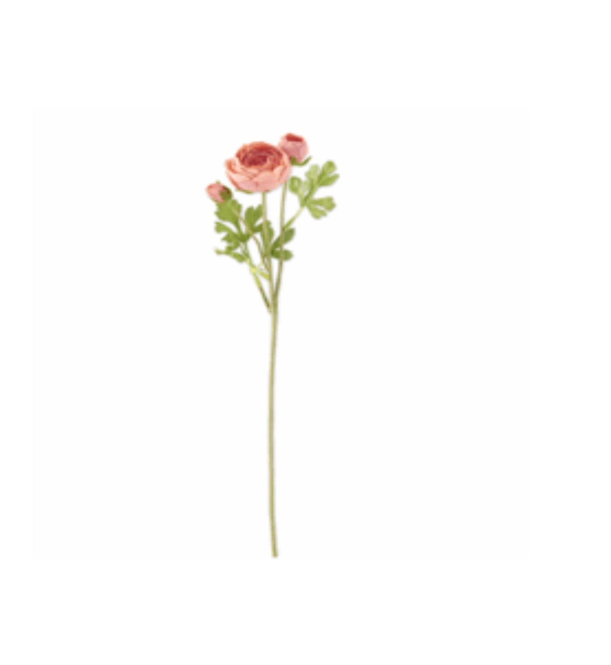 21" Coral Real Touch Ranunculus Stem