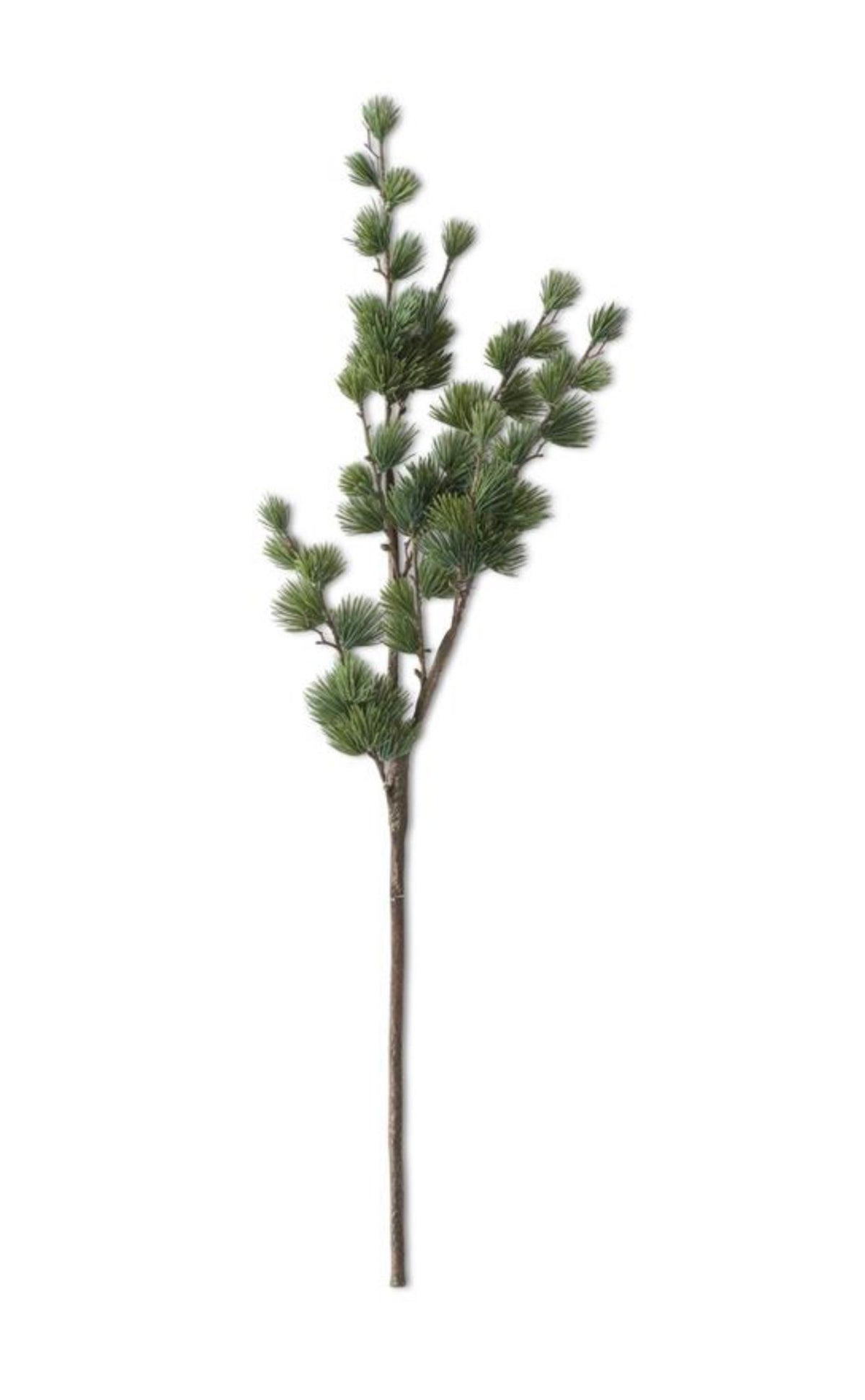 33" Real Touch Cypress Pine Stem