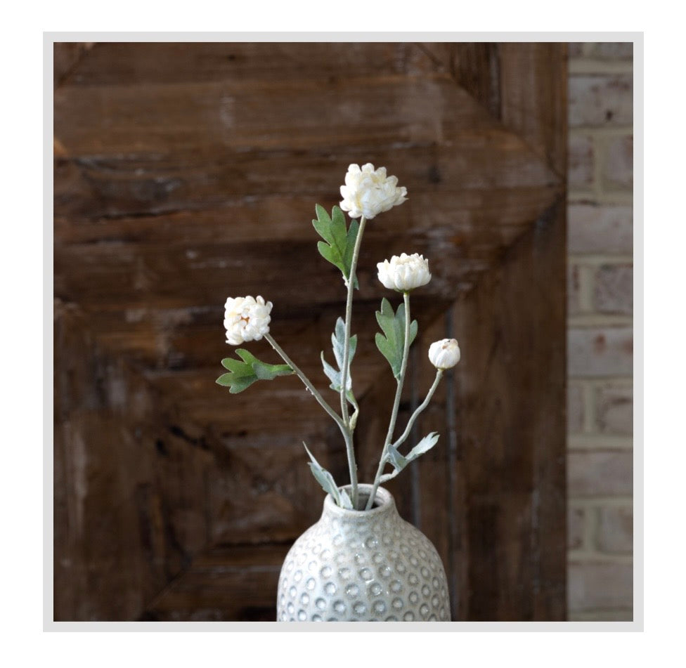 23" White Kalanchoe Stem