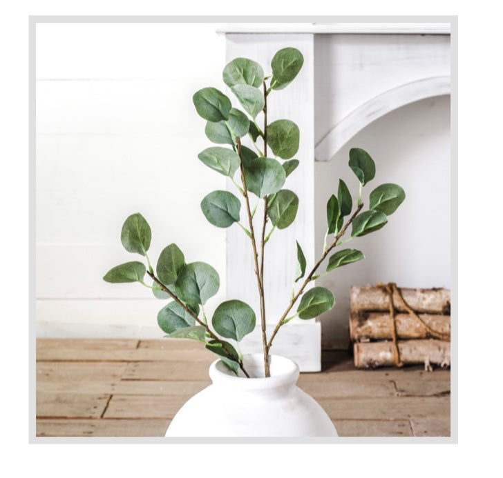 EUCALYPTUS SPRAY