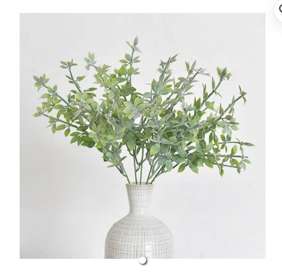 5 STEM LEAF BUNCH