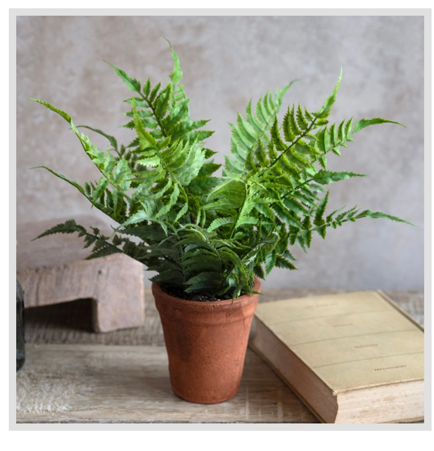 15" FERN IN POT