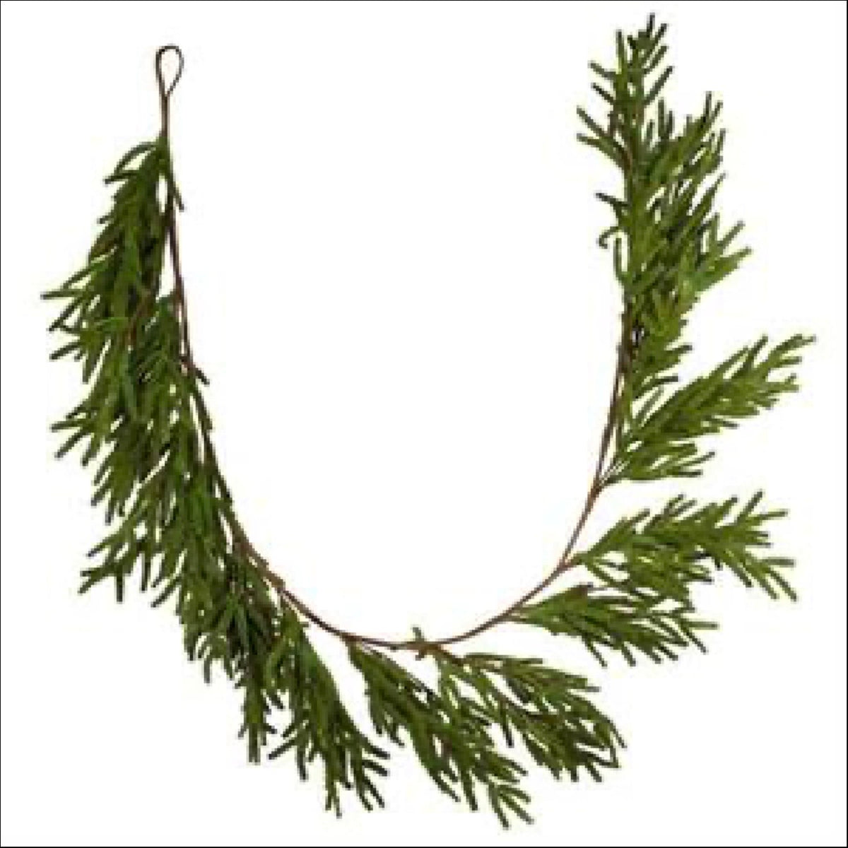 6' Norfolk Island Pine Garland