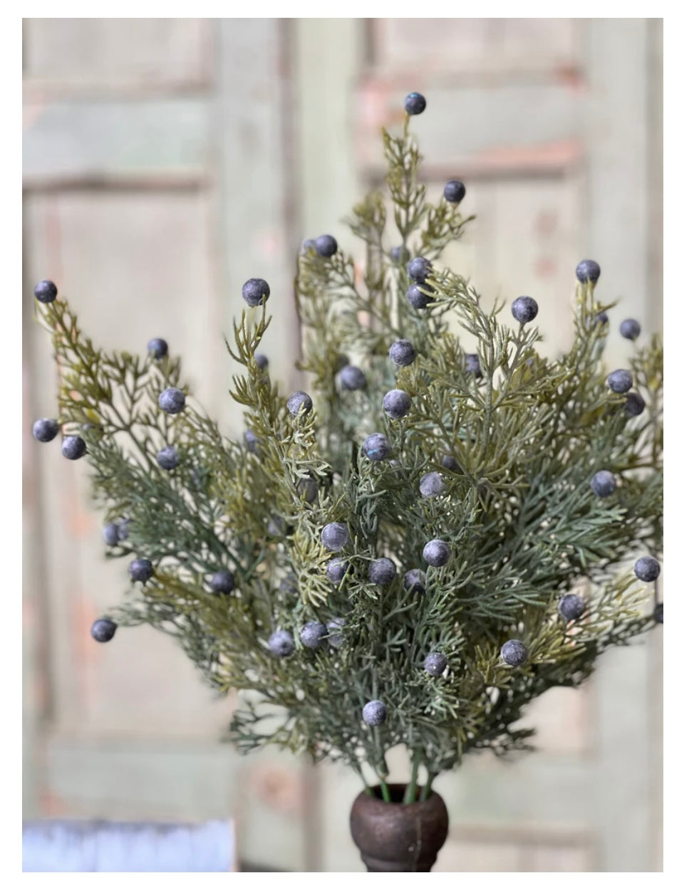 18" Midnight Juniper Bush