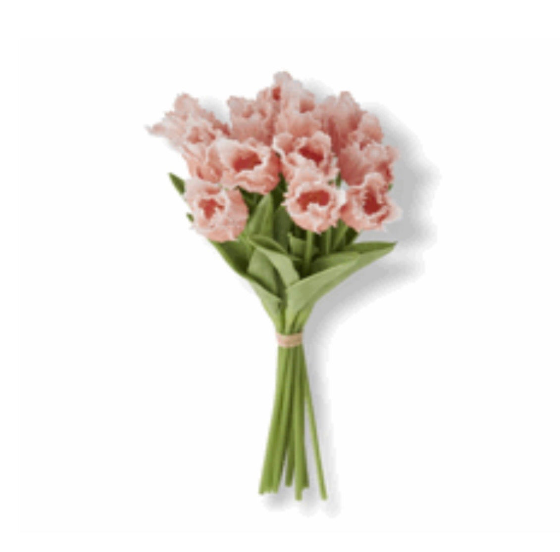 13" Orange/Peach Real Touch Parrot Tulip Bundle