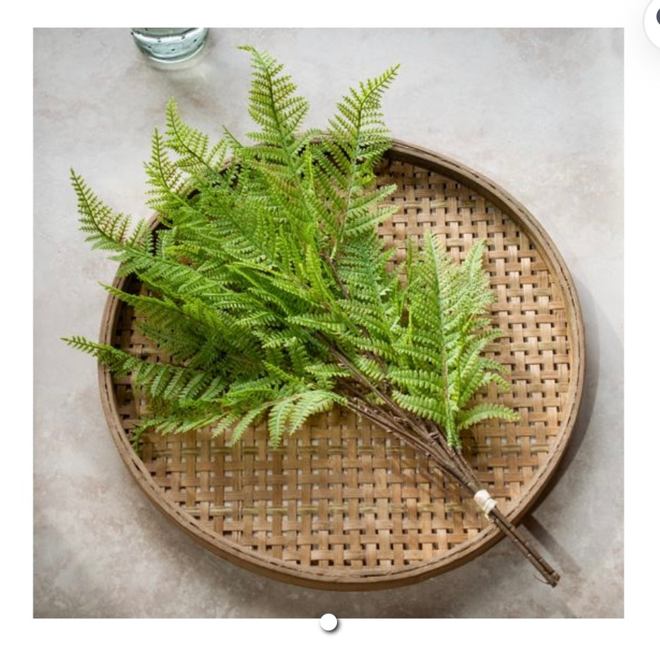 3 STEM FERN BUNDLE