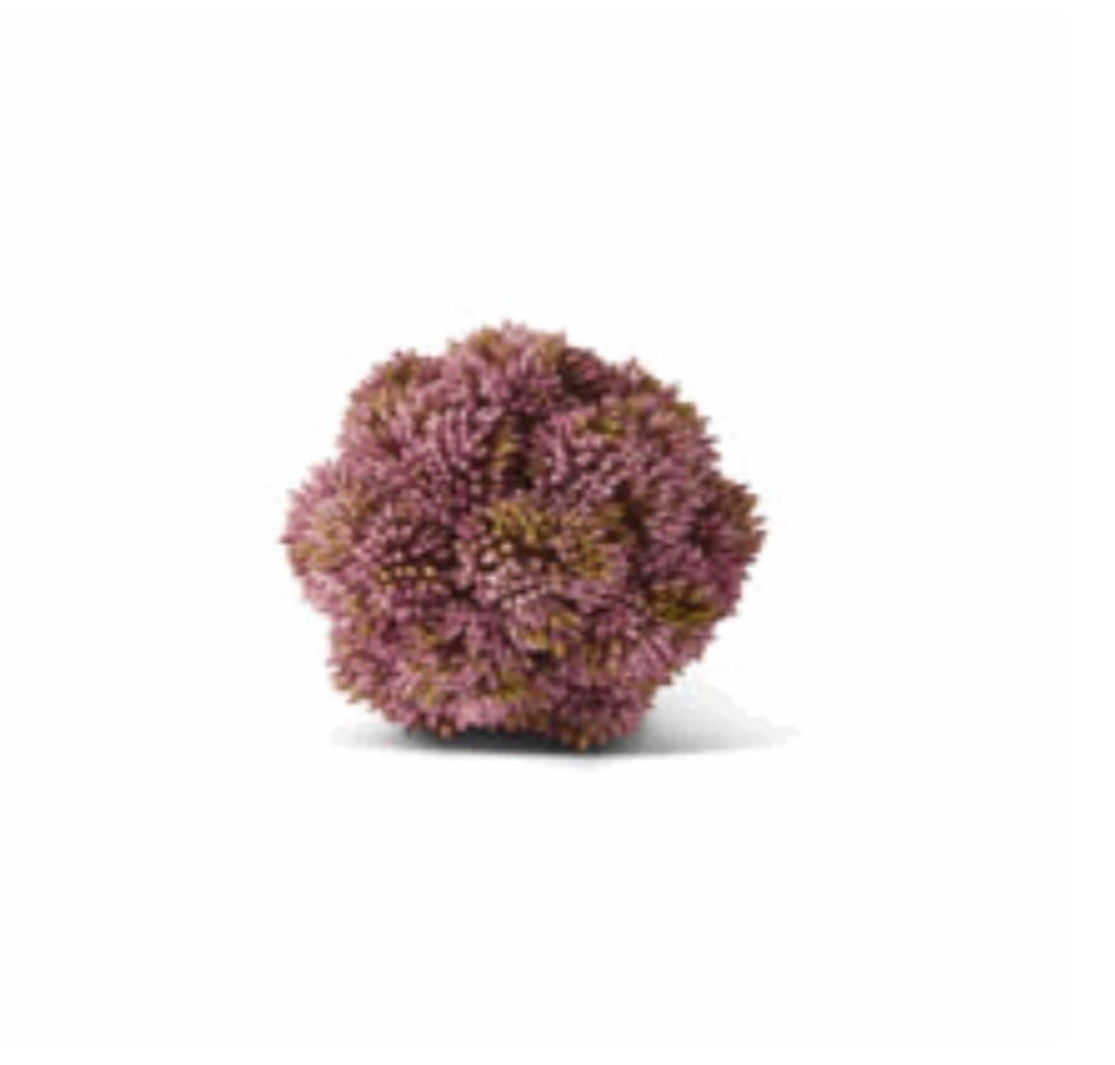 4" Pink Sedum Ball