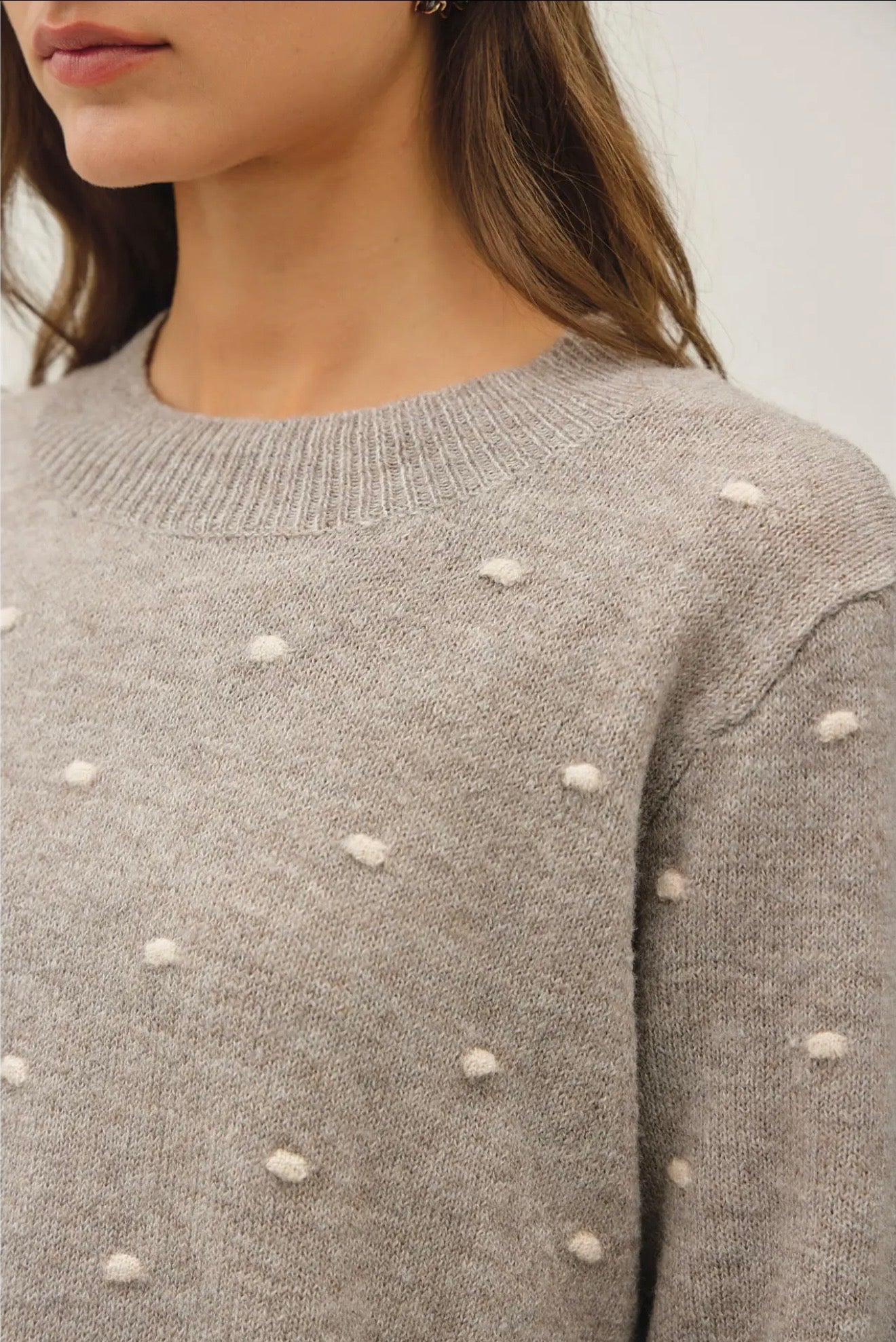 Cozy Dotted Knit Crewneck