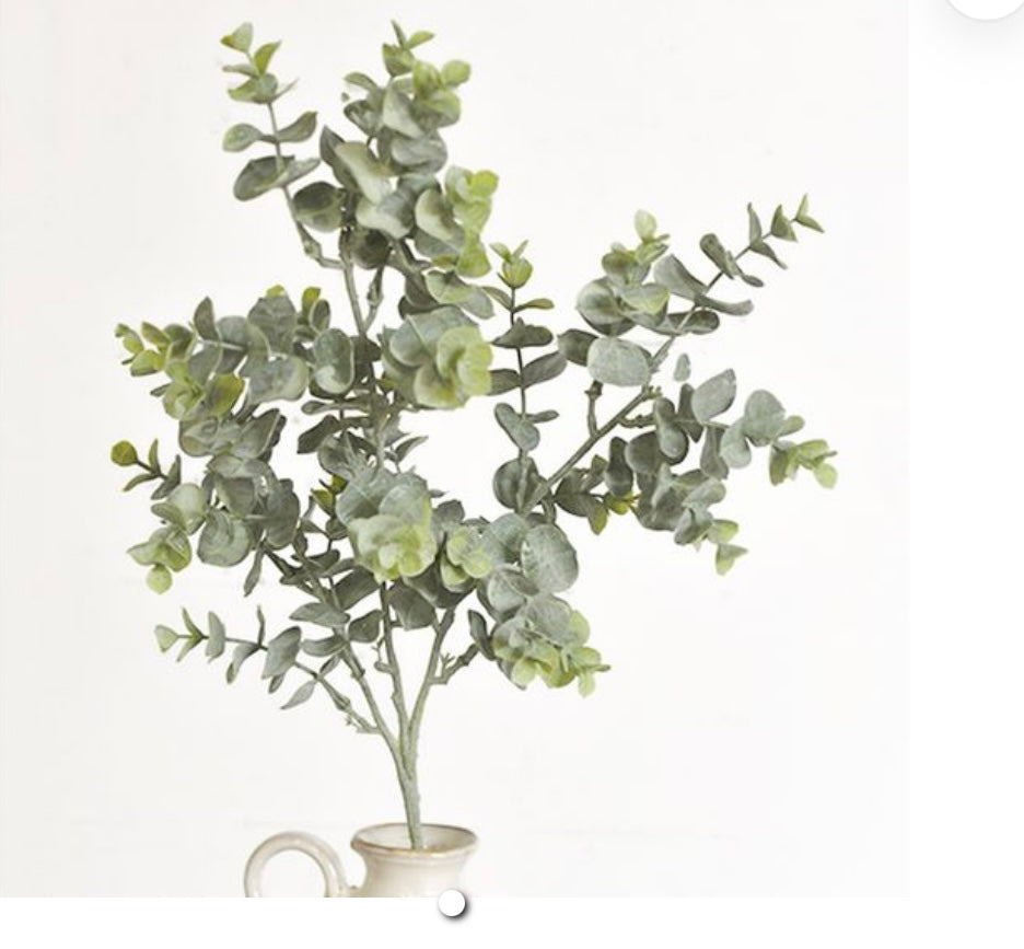 25" EUCALYPTUS SPRAY
