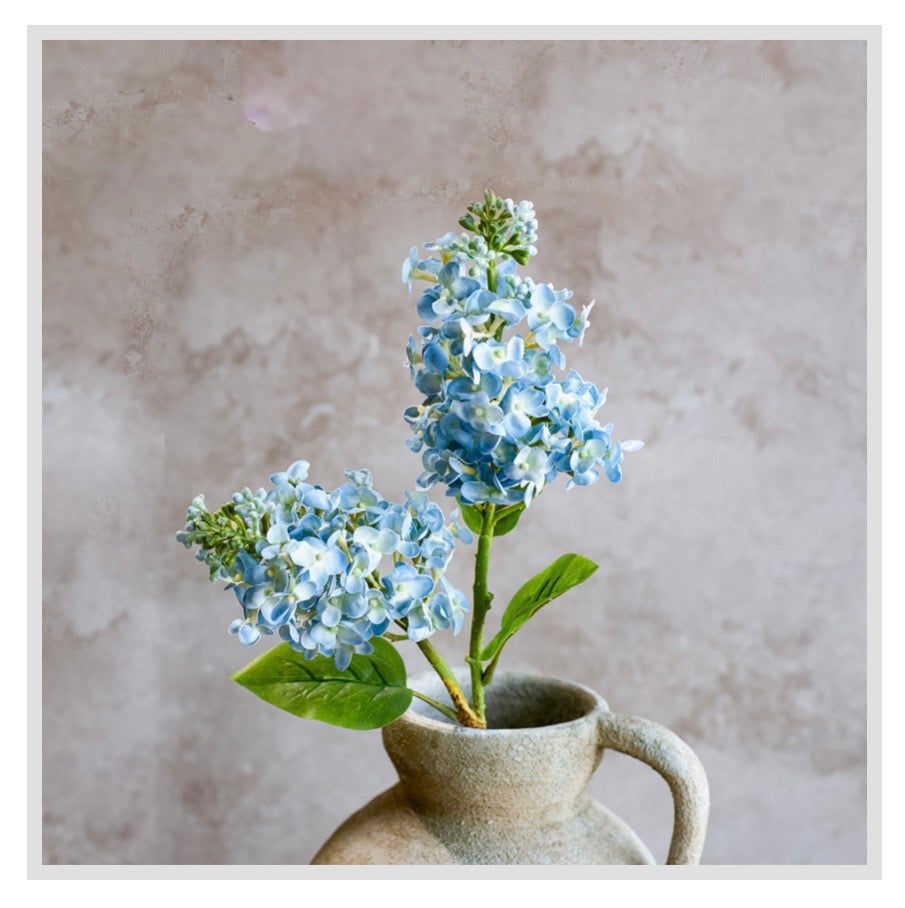 26" Blue Cone Hydrangea Stem