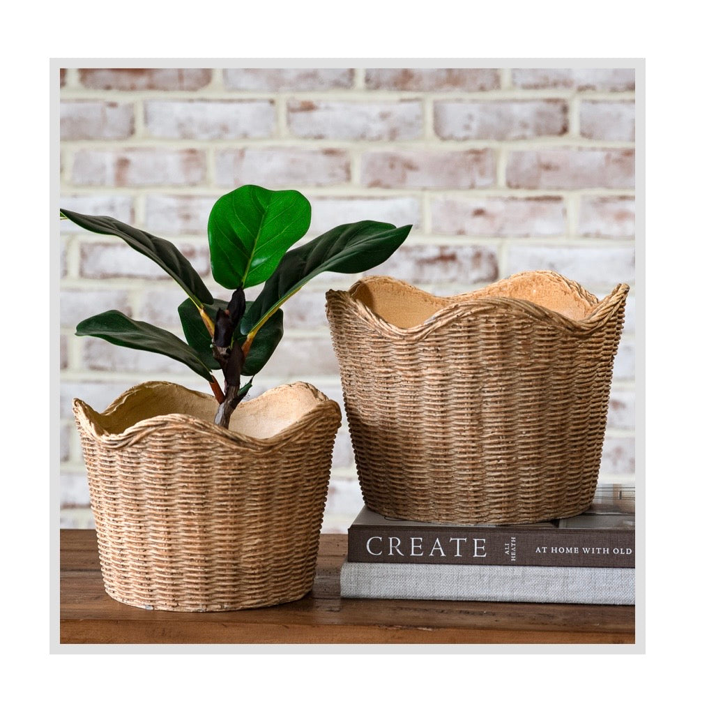 Scalloped Basket Weave Cement Planters