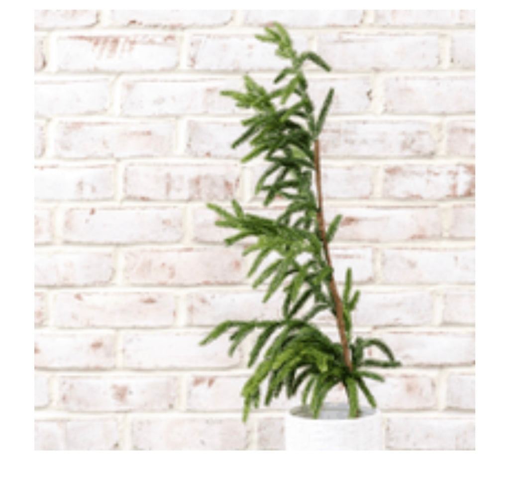 36" EVERGREEN BRANCH