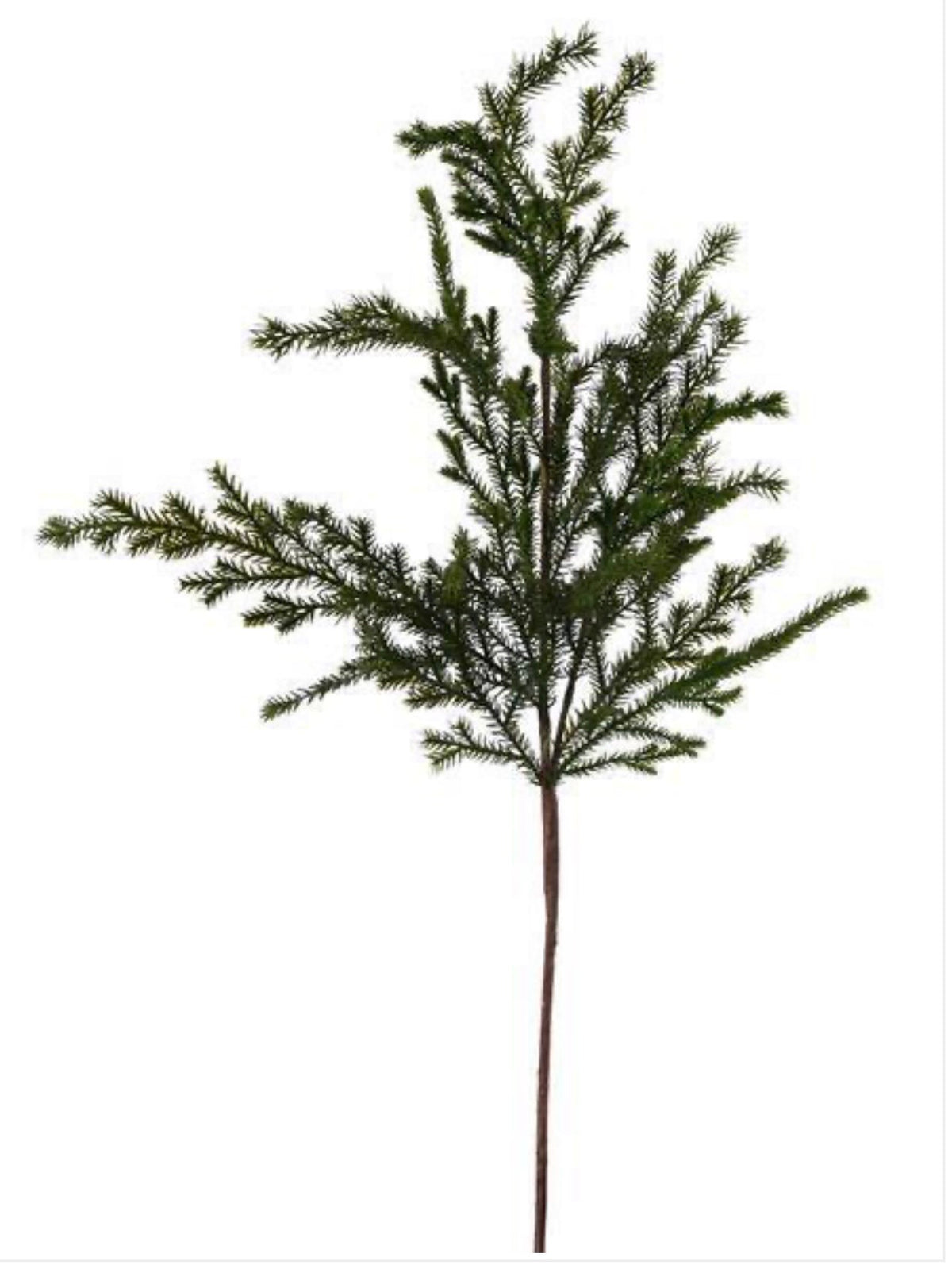 35" Cedar Spray