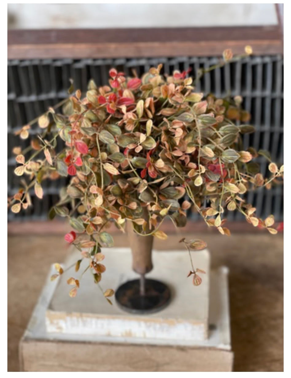 12" Bog Pimpernel Half Sphere