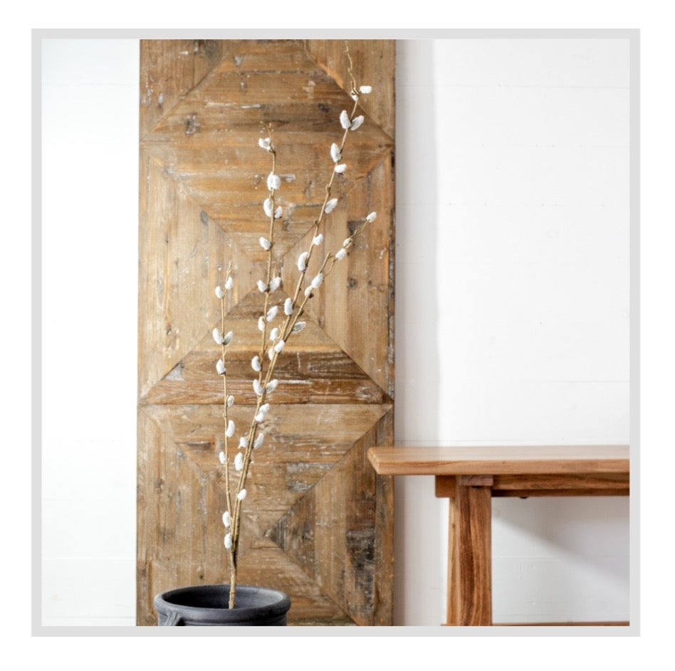 46" Pussy Willow Stem