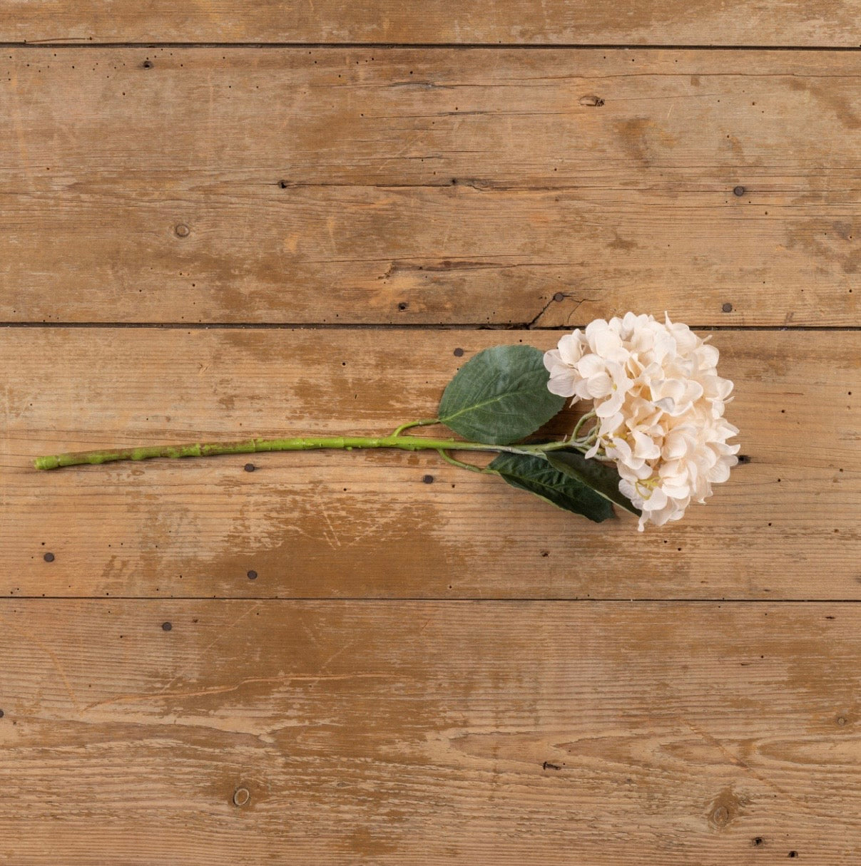 22" Cream Hydrangea Spray