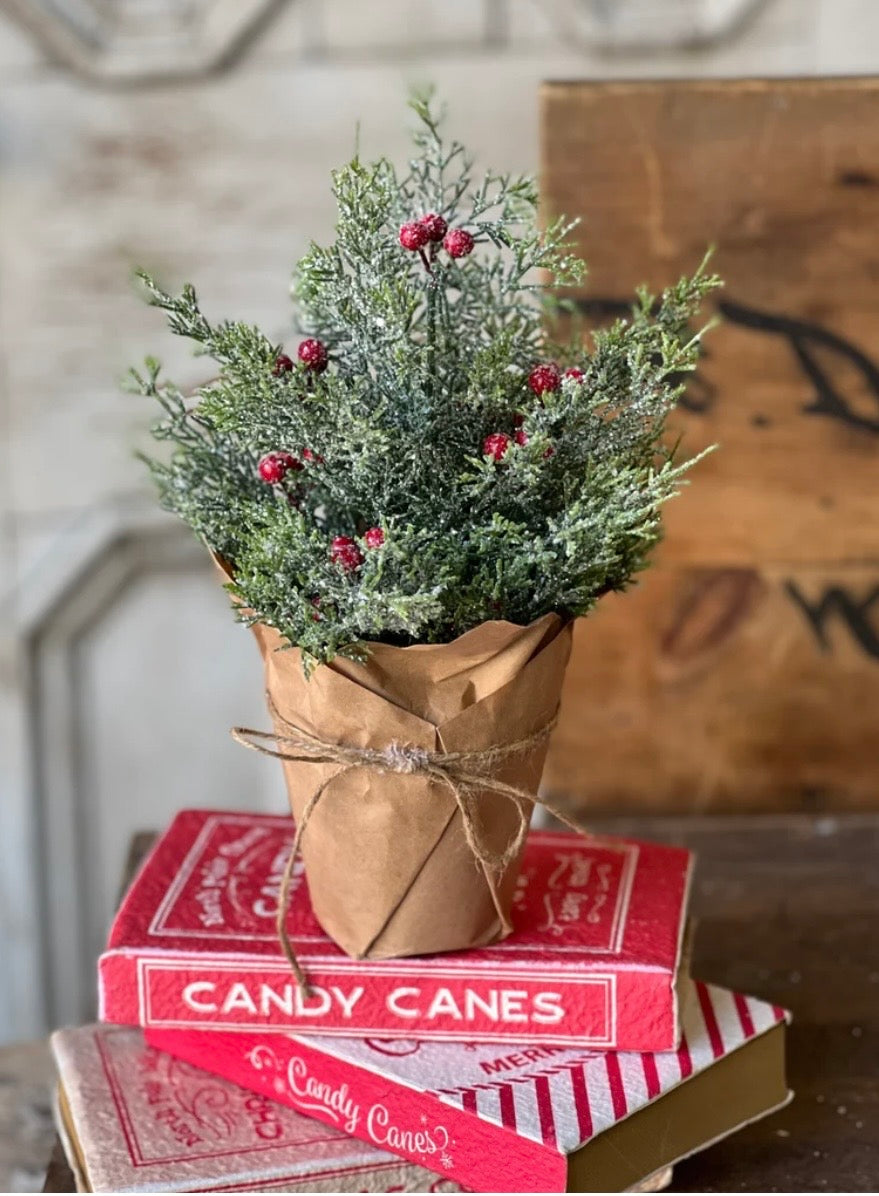 12" Merry Market Pot
