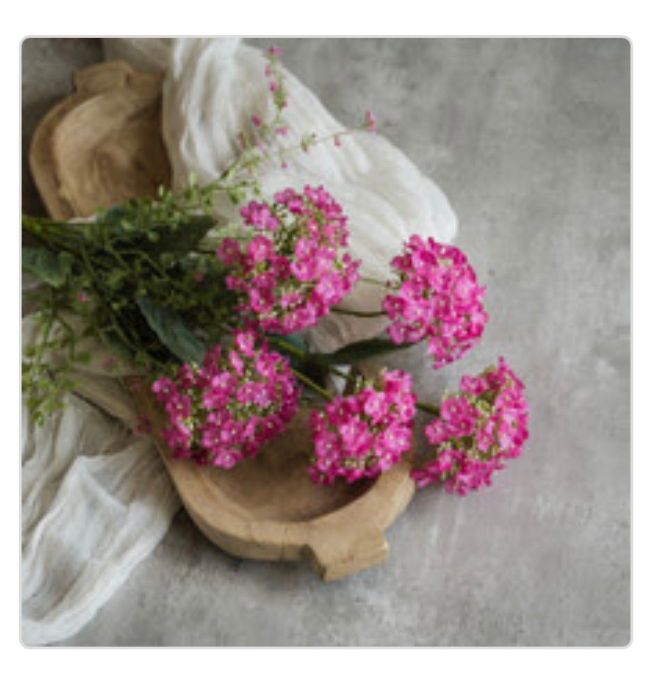 20" Pink Wild Hydrangea Bush