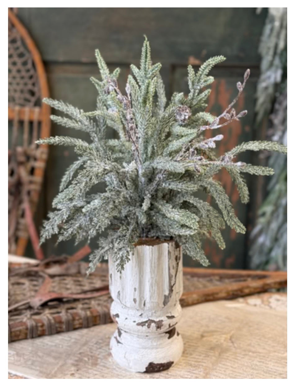 18" Snowdrift Norfolk Pine Bundle