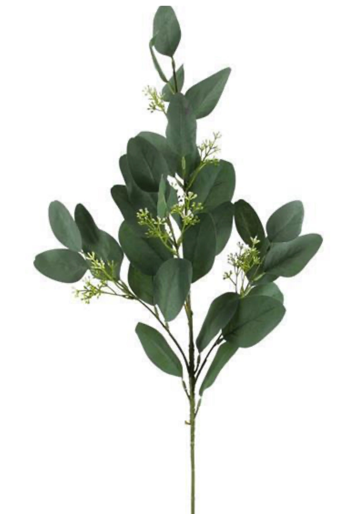 31.5" Green Eucalyptus Spray