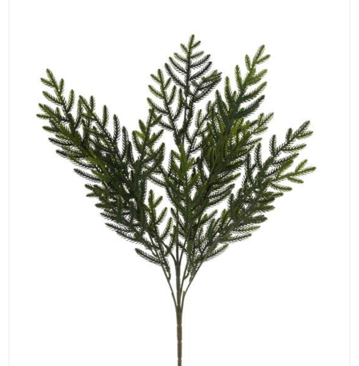 23" Norfolk Pine Spray Dk Green