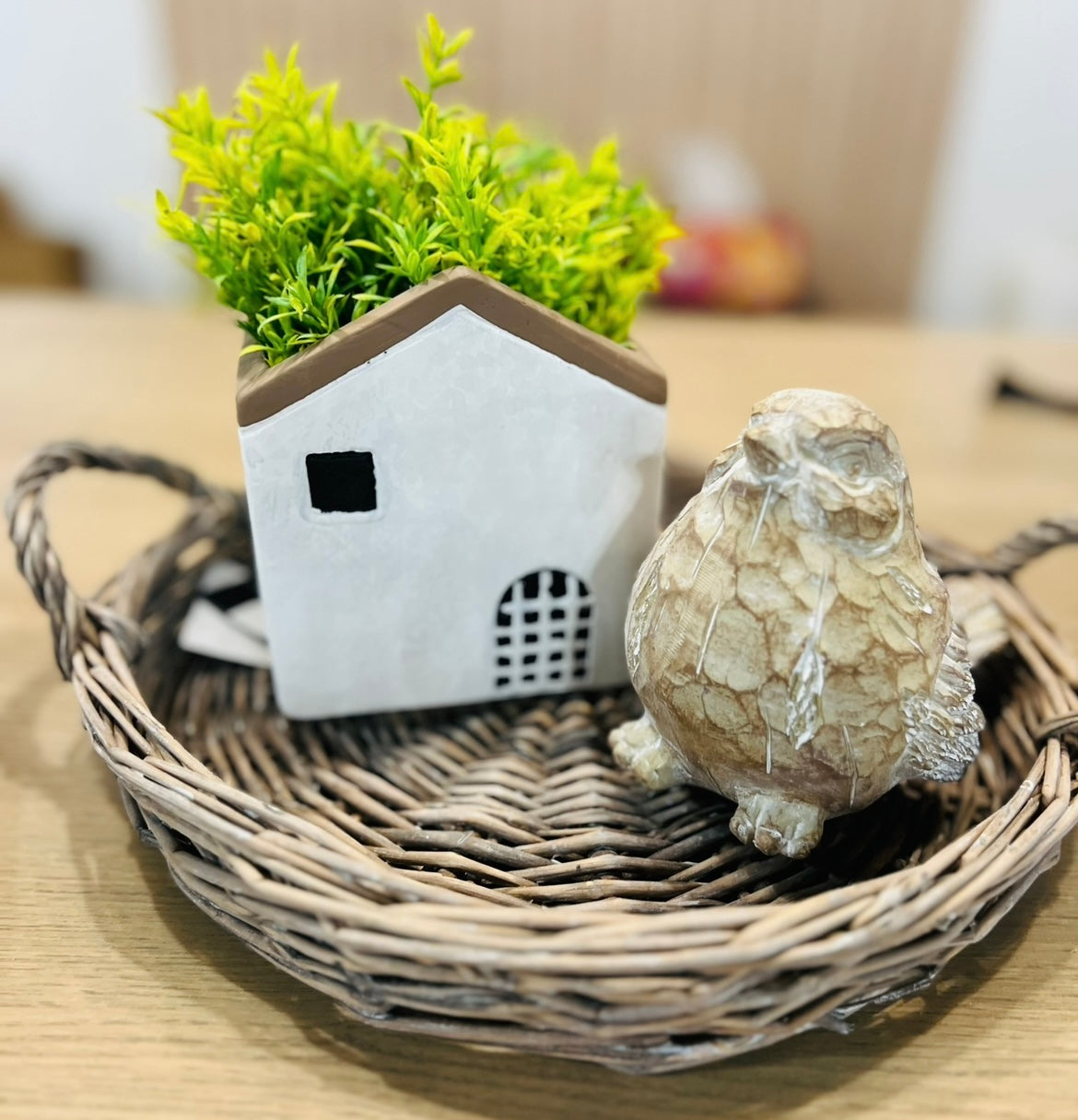 CEMENT HOUSE PLANTER