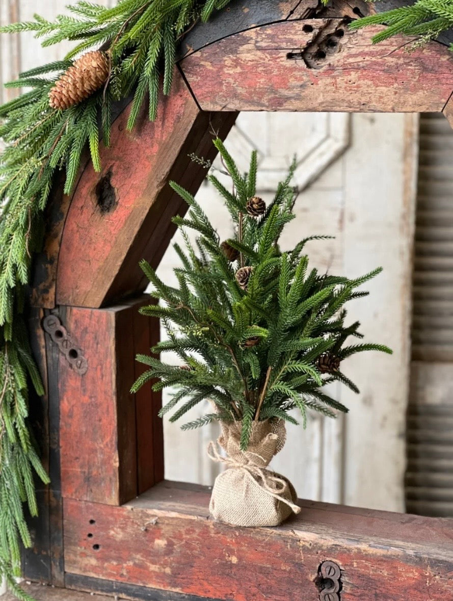 19" Pencil Pine Tree