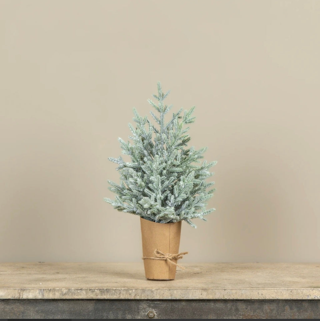 15.5" FROSTED PINE TREE IN PAPER WRAP