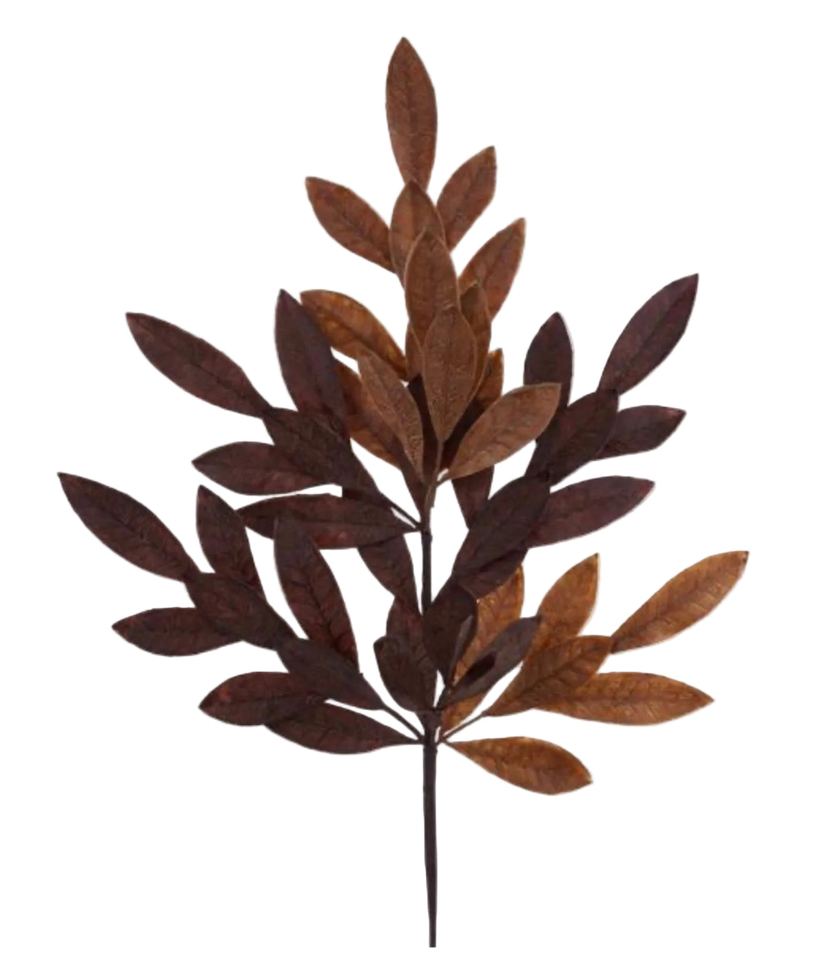 23.5" BAY LEAF SPRAY