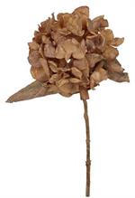 13" Dried look hydrangea spray