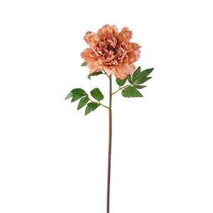 23" Velvet/satin peony Pink/Cream