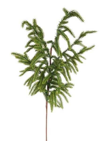 30" Norfolk Pine Spray
