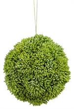 4" Sedum Ball