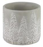 5.5" Cement Whitewash Planter w/Pines