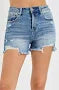 Risen High Rise Distressed Short