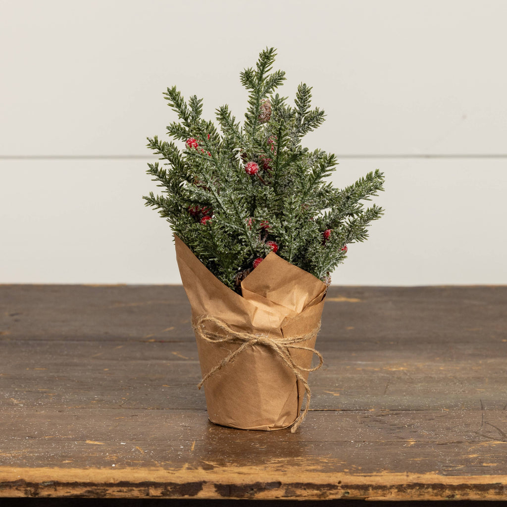 12" ICY PINE & BERRIES IN POT