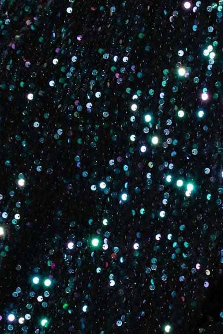 Sequin Crewneck Sweatshirt Top