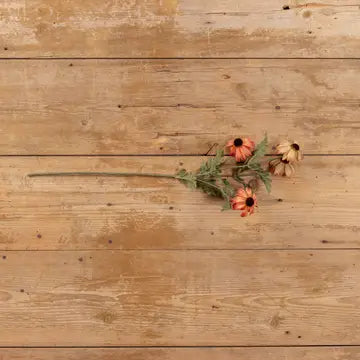 25.5" Rust black-eyed susan spray