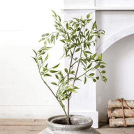 GREEN LEAF SPRAY