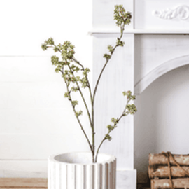 RICE FLOWER STEM